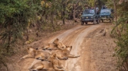 Devaliya Jeep Safari
