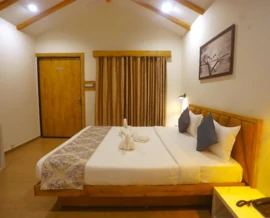 Room Photos